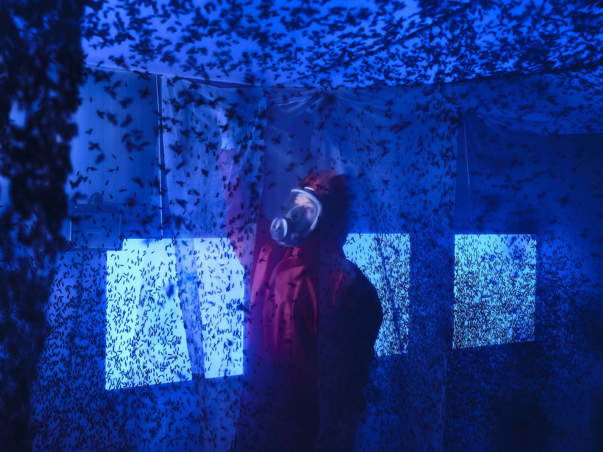 052_Luca Locatelli_for National Geographic