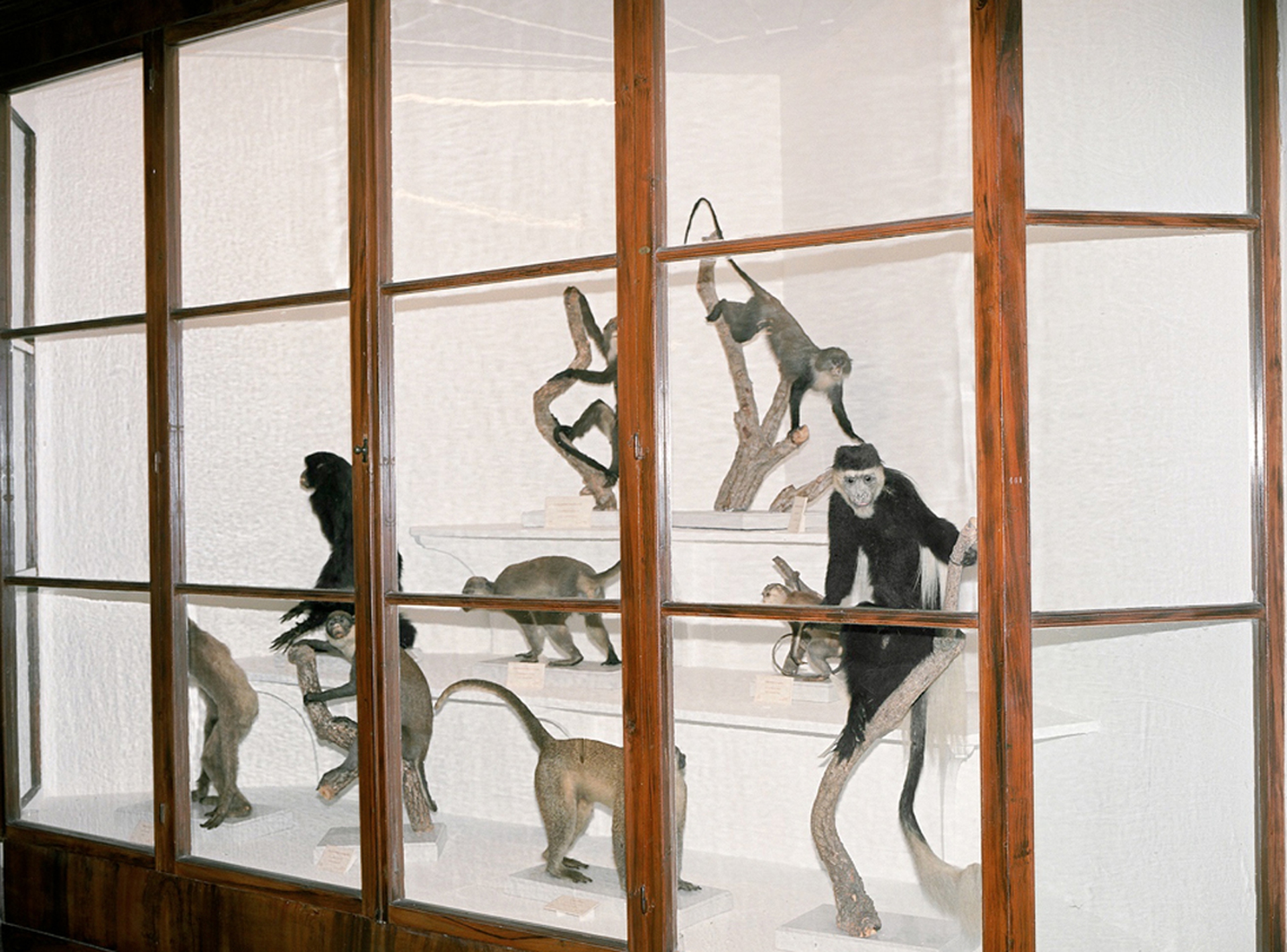 L'apparenza di ciò che non si vede