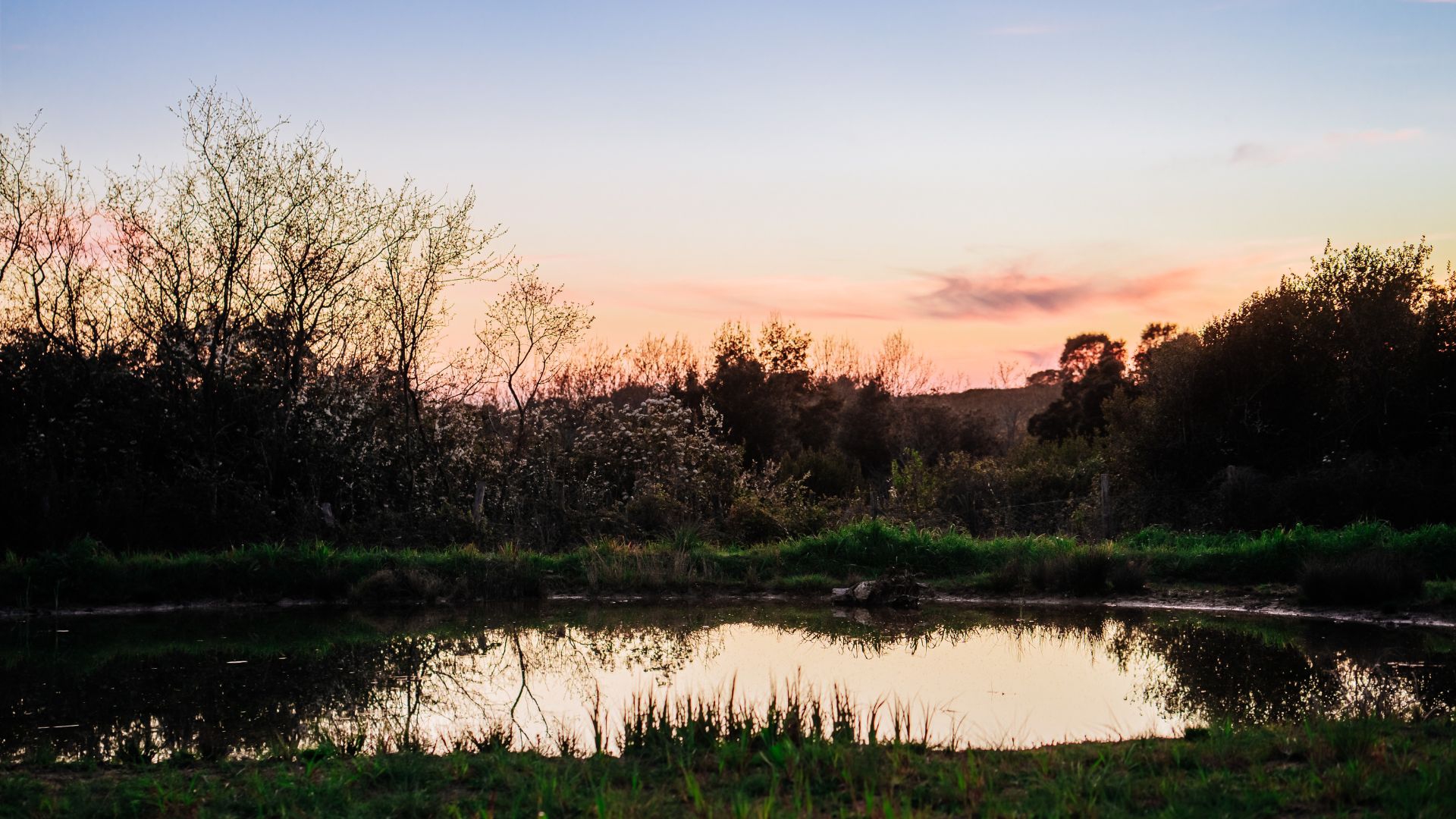 Oasi Wwf Castel Romano