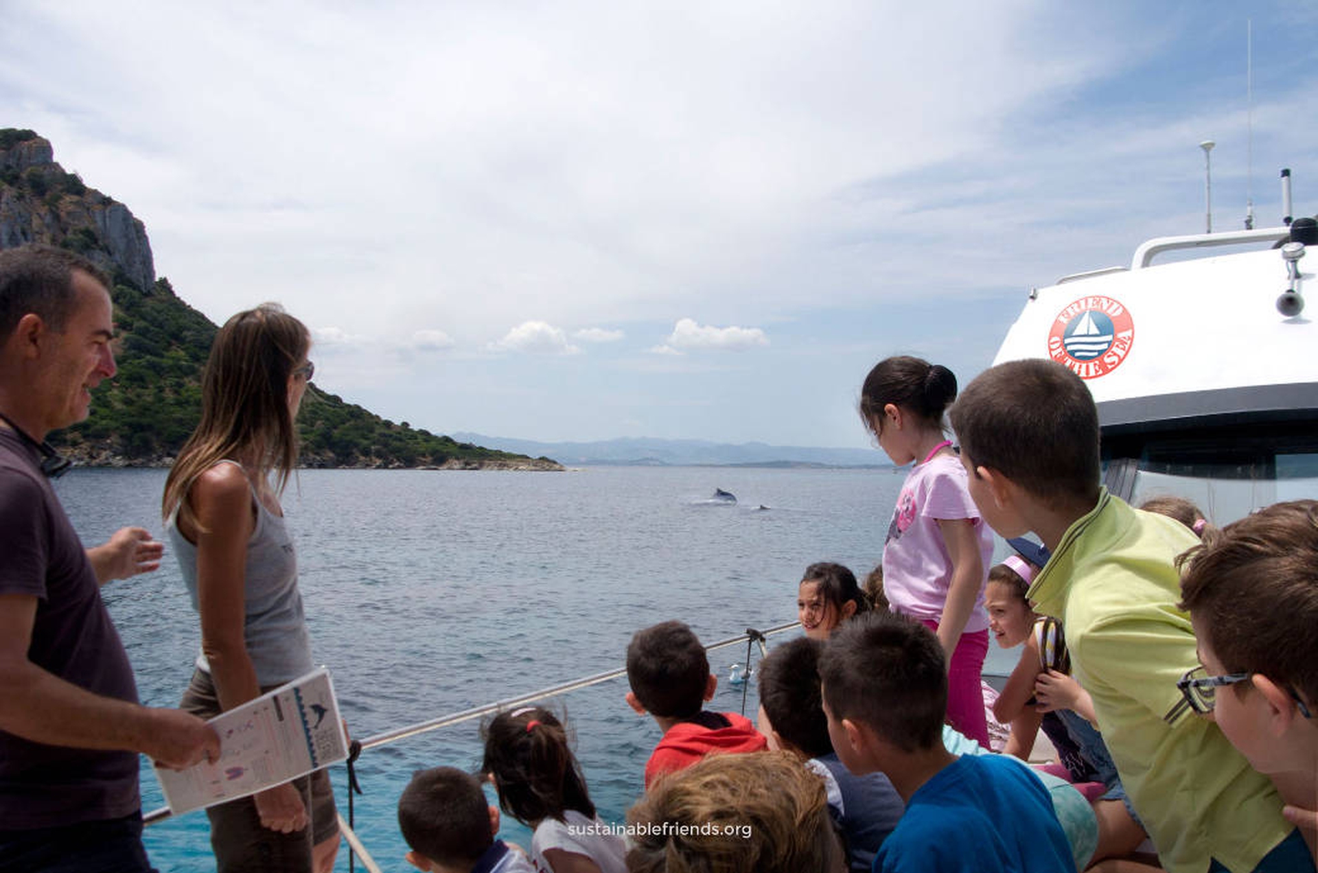 Vedere i delfini in Sardegna: si può tutto l'anno a Golfo Aranci