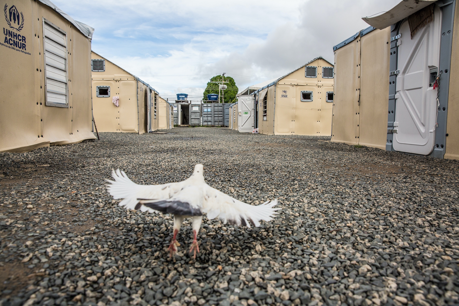 AVSI Brasile_Antonello Veneri