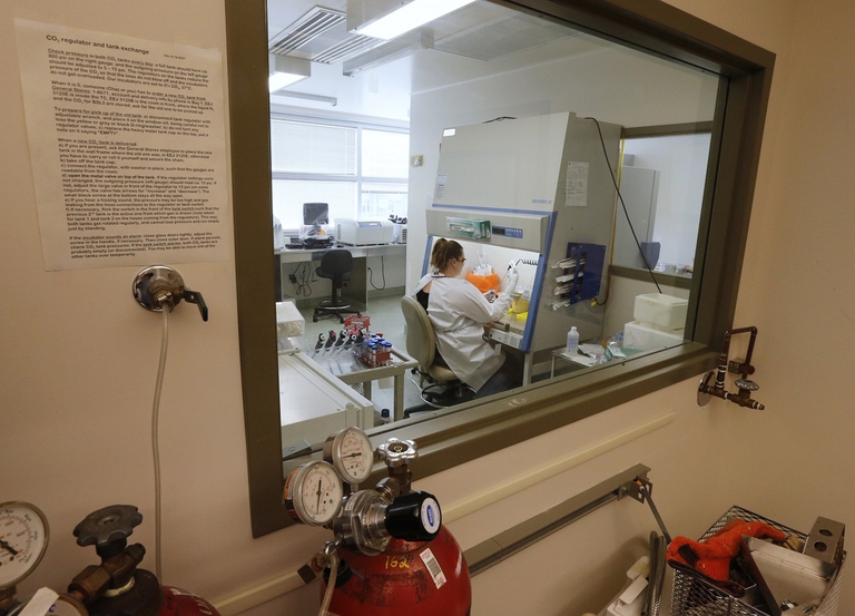 Laboratorio di un'università statunitense