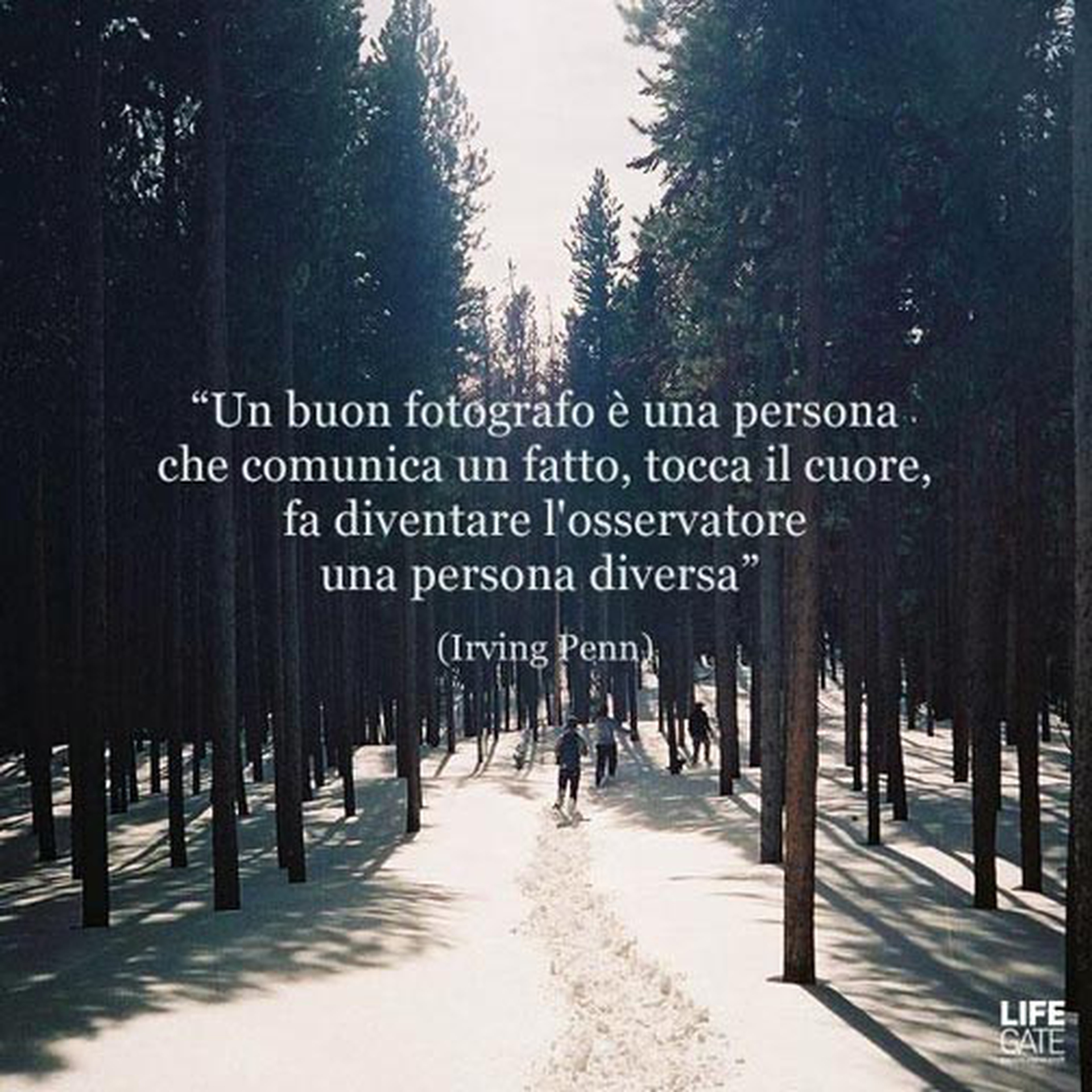 Le citazioni più belle per sempre - Irving Penn