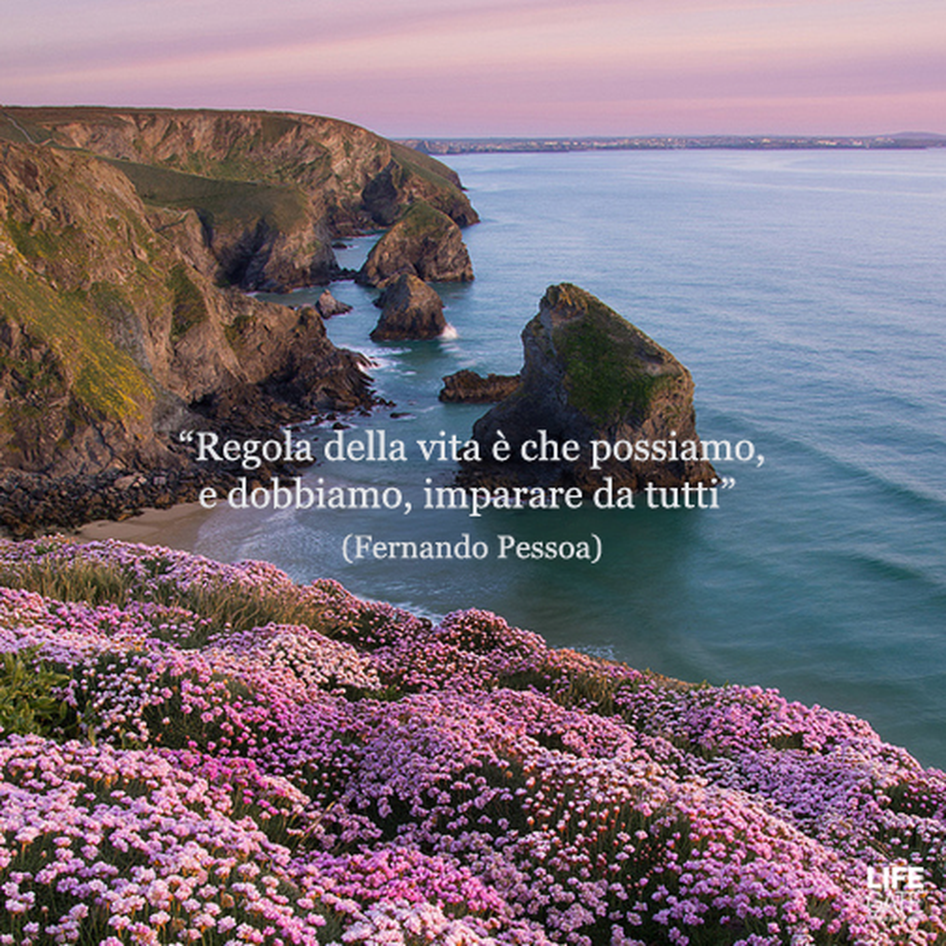 Le citazioni più belle per sempre - Fernando Pessoa