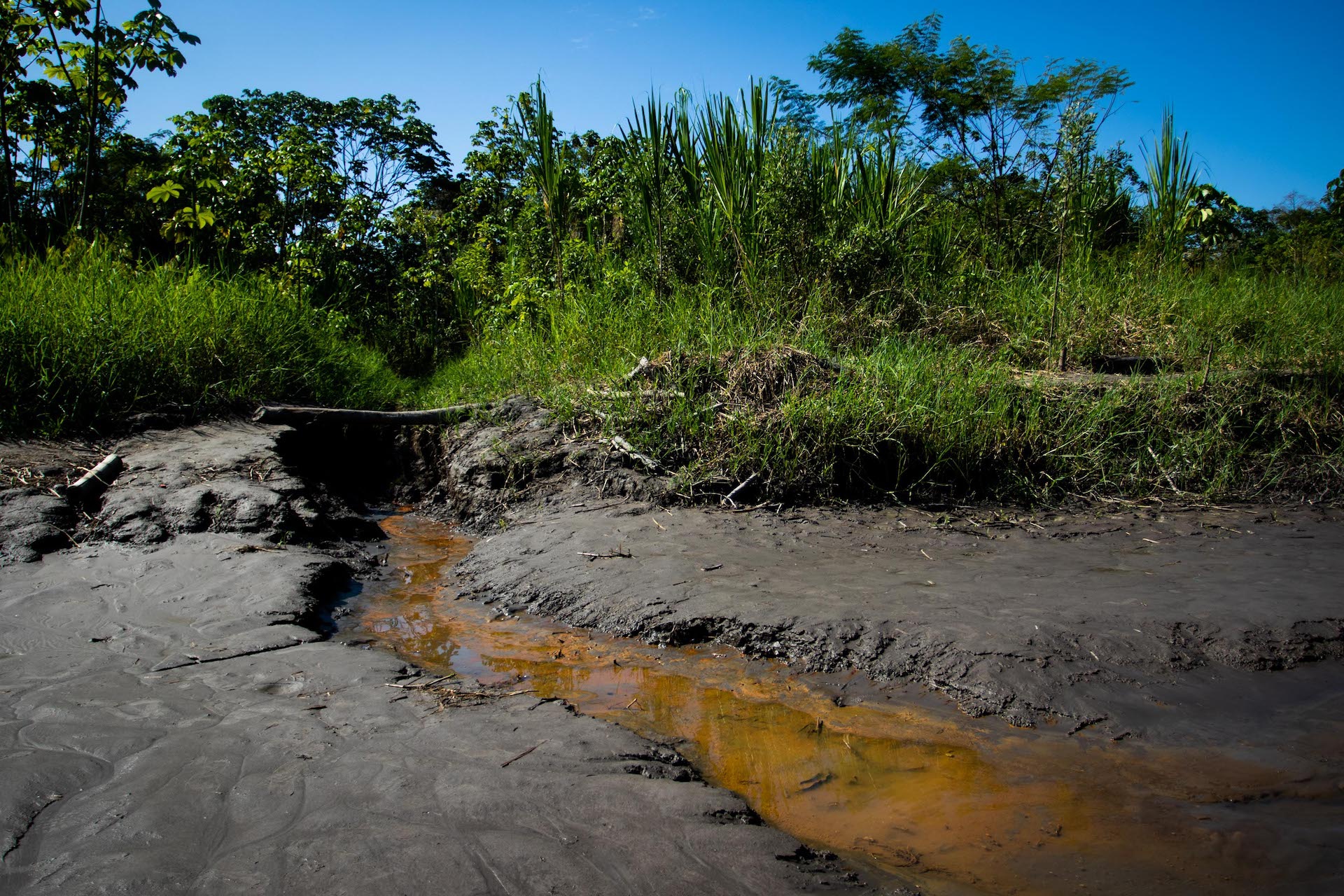 Coca River oil spill