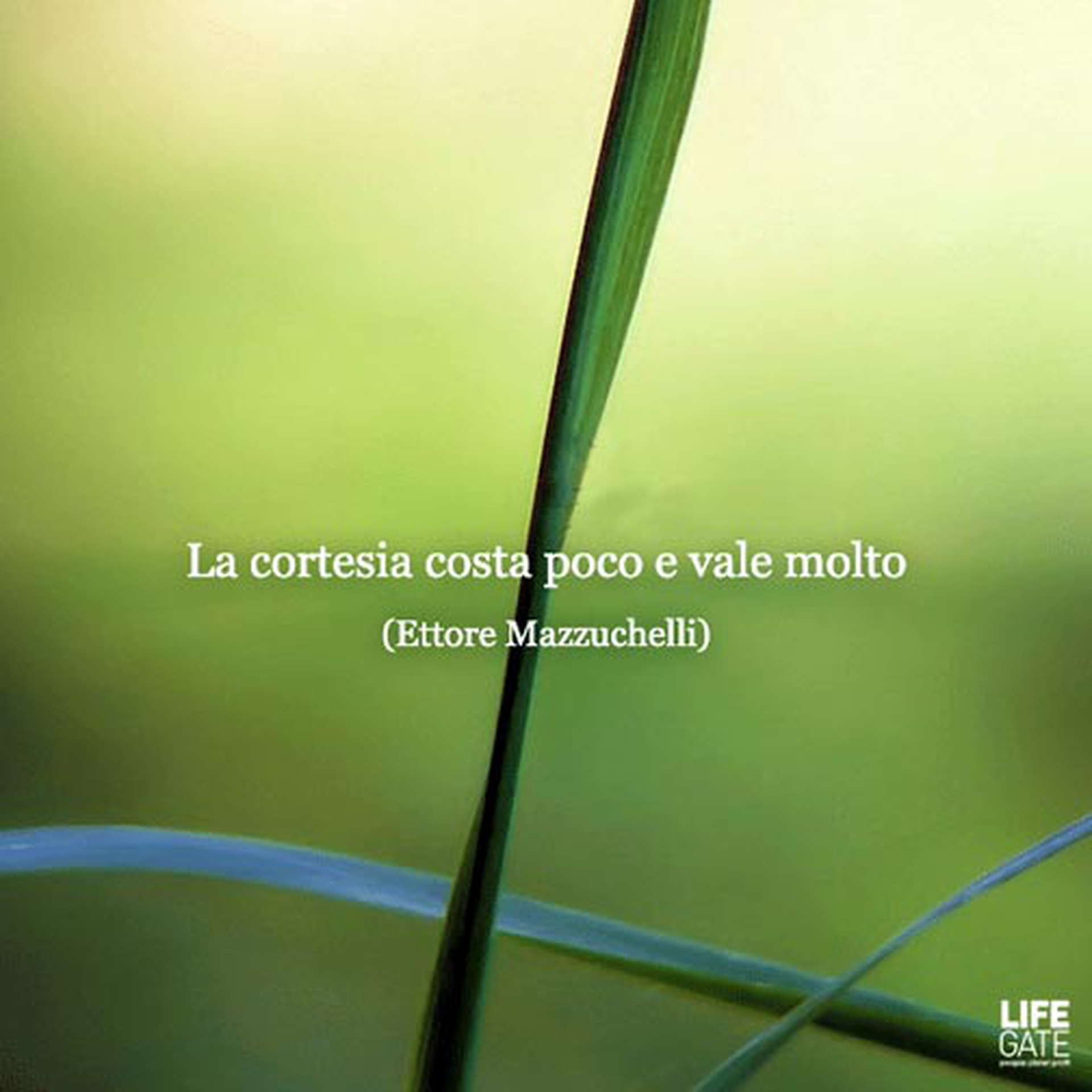 Le citazioni più belle per sempre - Ettore Mazzucchelli