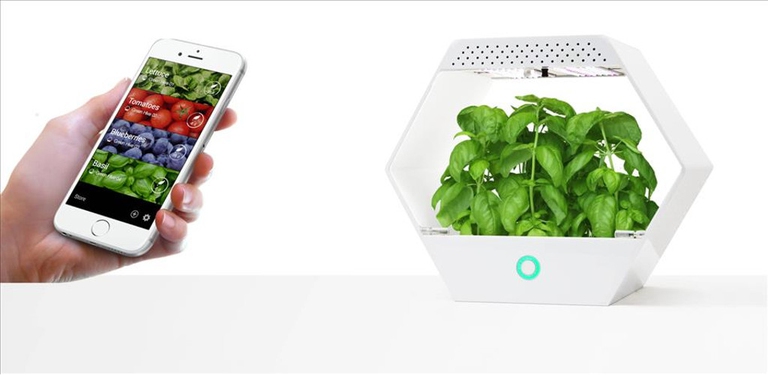 linfa maker faire 2016