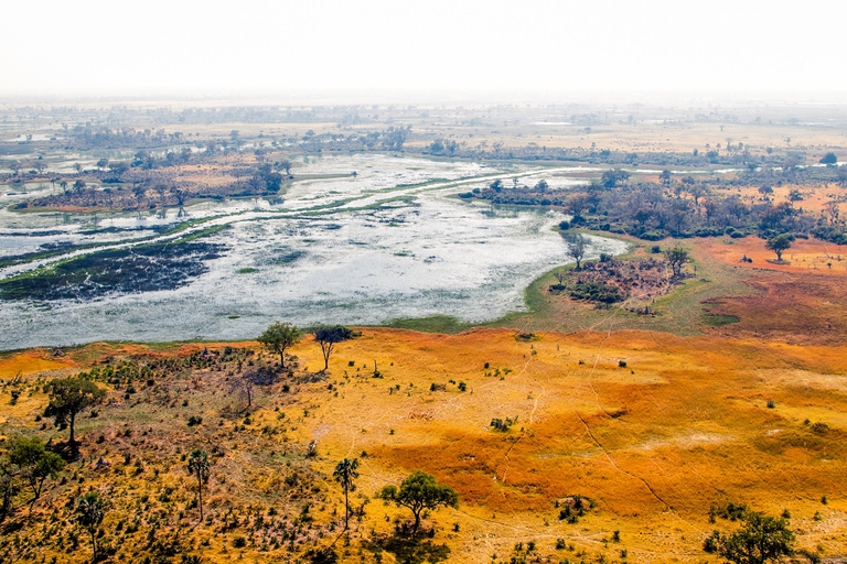 Savana sudafricana vista dal cielo