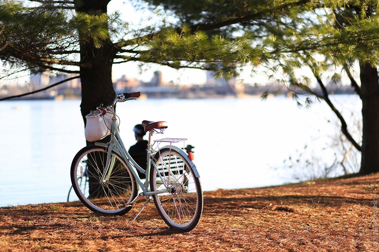 bici, italiani