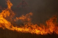 Bill McKibben, pioneer of the fight against climate change, broadens his warning