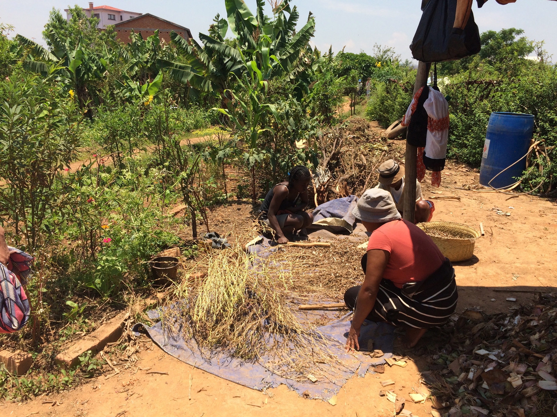 L'impresa sociale di Violette e Dieudonné in Madagascar