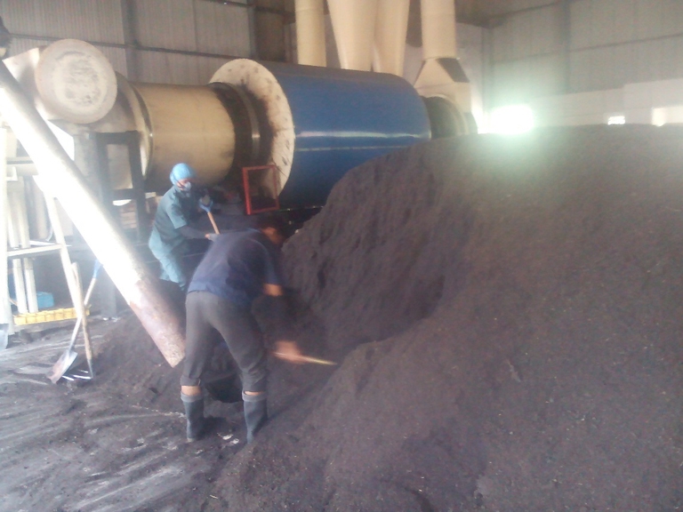 jamu powdered biomass