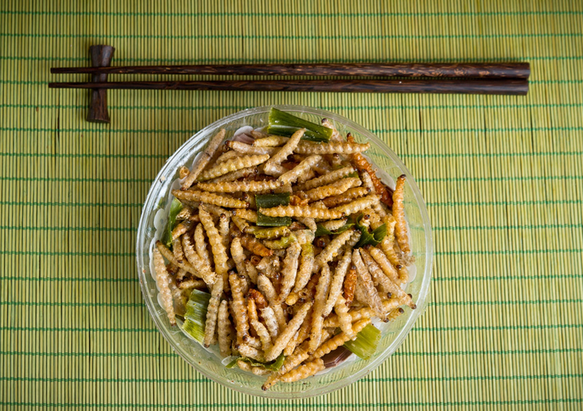 Larve di bambù