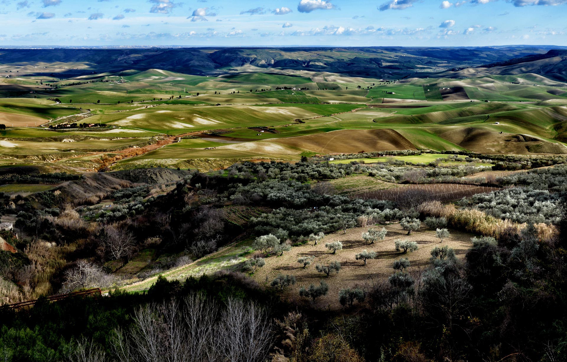 Ecco la foto vincitrice di Obiettivo Terra 2014