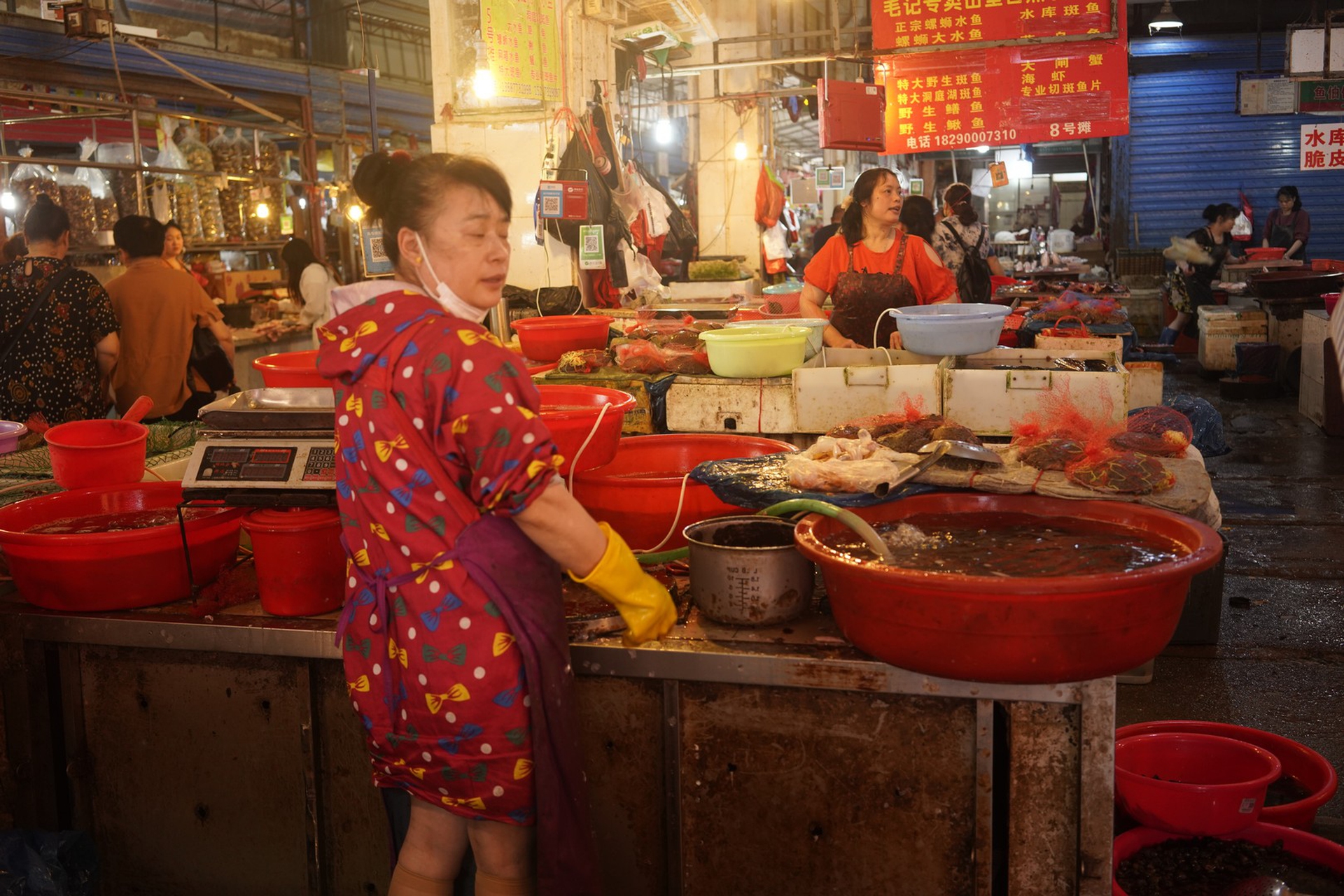 Un’immagine dai wet market in Cina