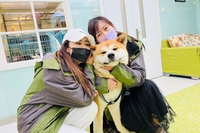 Il “festival” di Yulin è solo un’operazione commerciale. Oltre che una crudeltà