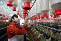 Classifica Detox di Greenpeace, sulla sostenibilità dei marchi di moda
