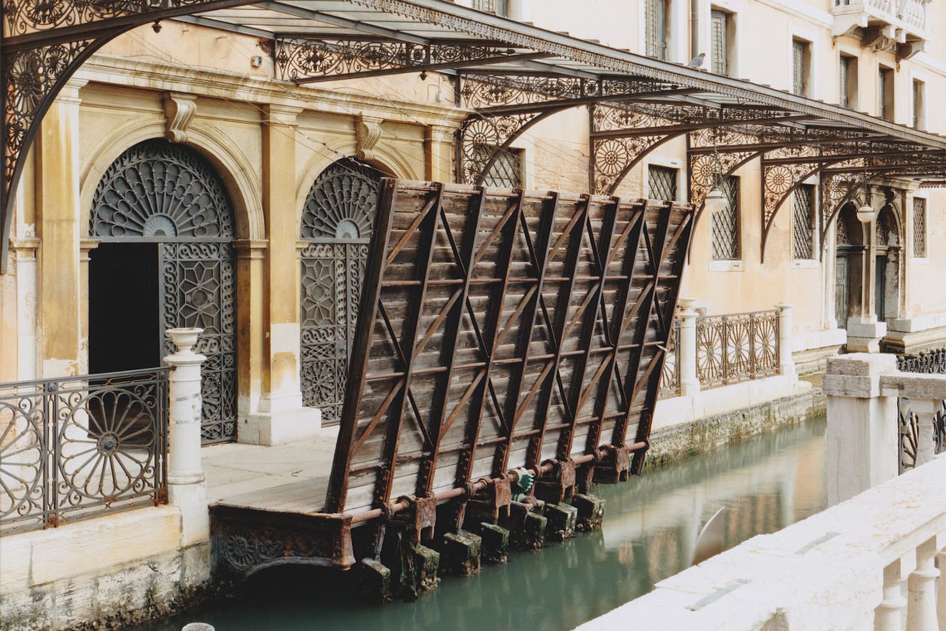 Come rinascono i Giardini Reali di Venezia
