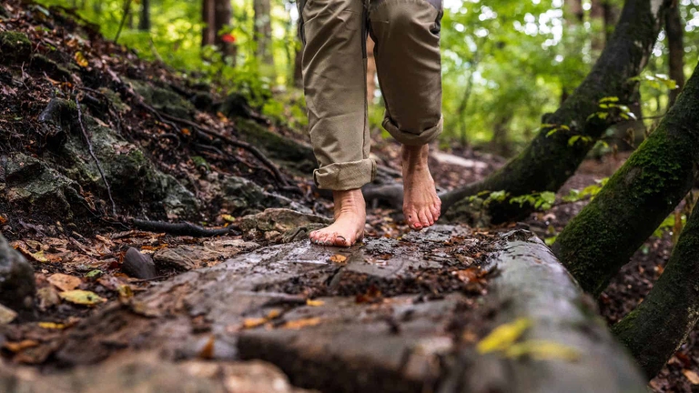 piedi nudi nella foresta