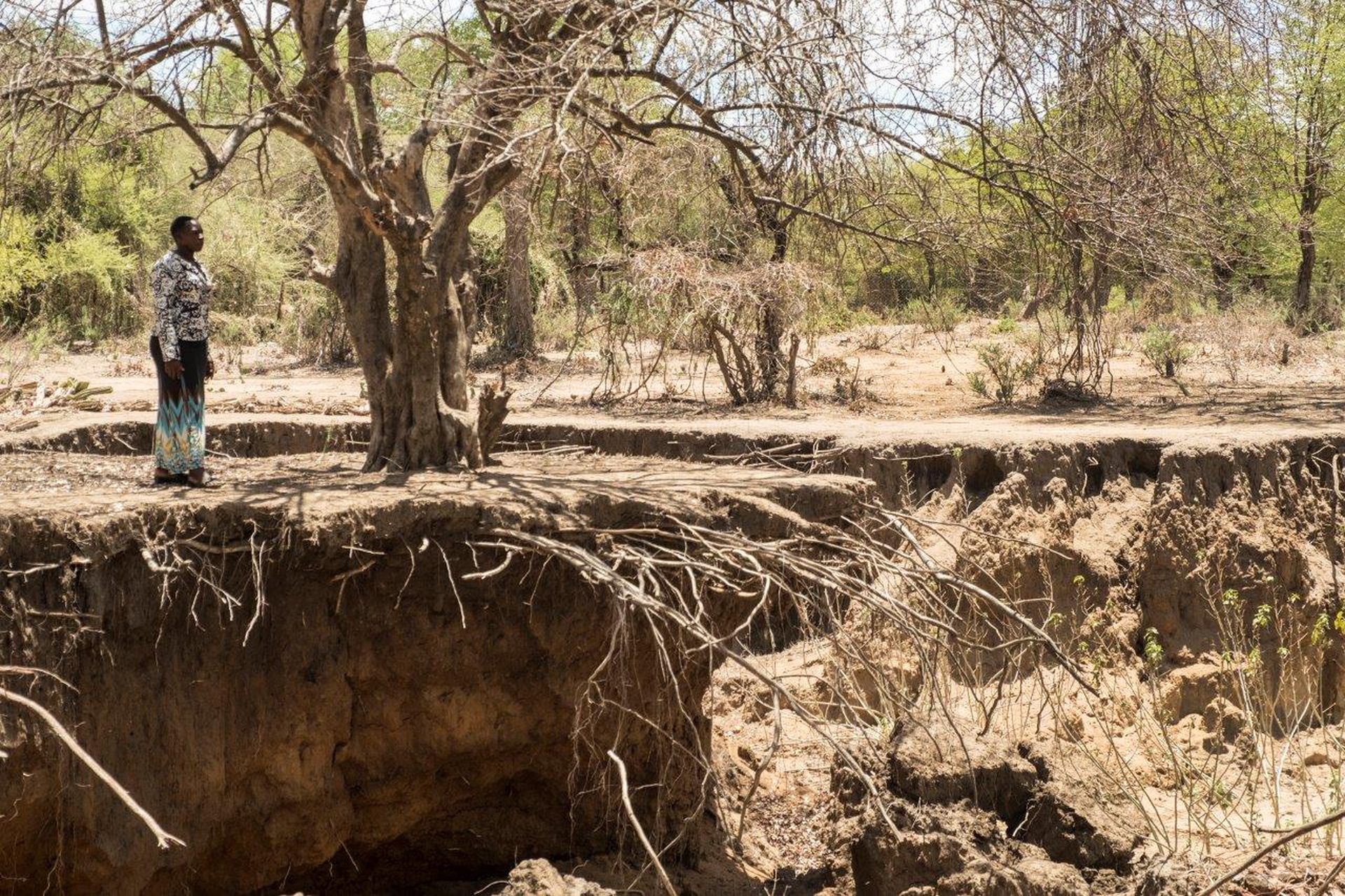 Drought in the rain season, a climate change issue – Stefano Stranges