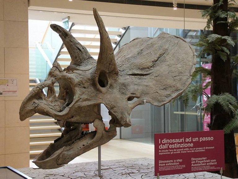 Il MuSE di Trento è una visita molto interessante per grandi e bambini