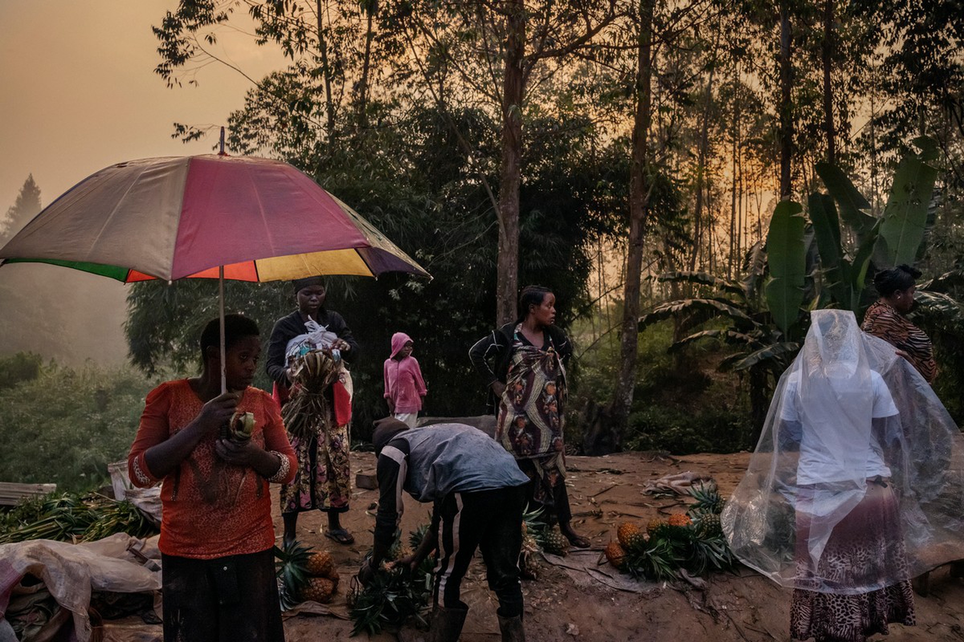 Ebola in Congo, luglio 2019
