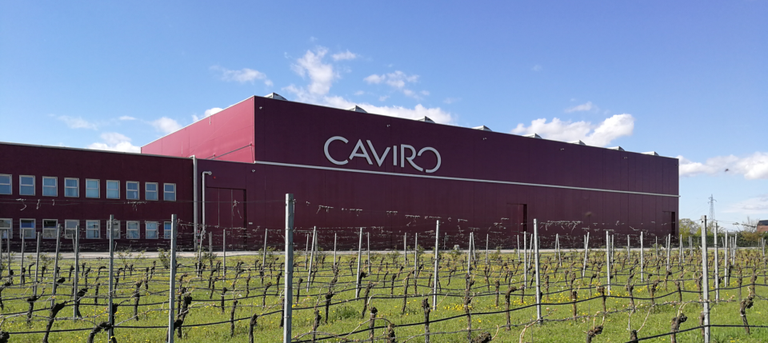 stabilimento Forlì Gruppo Caviro 