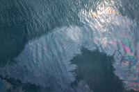 L’inquinamento da idrocarburi minaccia il mar Mediterraneo: le soluzioni della Water Defenders Alliance