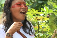 Bolivian indigenous people honoured at COP21 for reducing deforestation