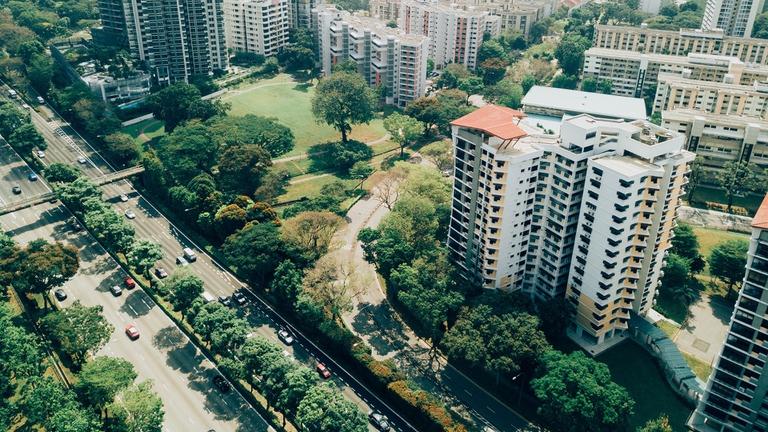 forestazione urbana, giornata nazionale degli alberi
