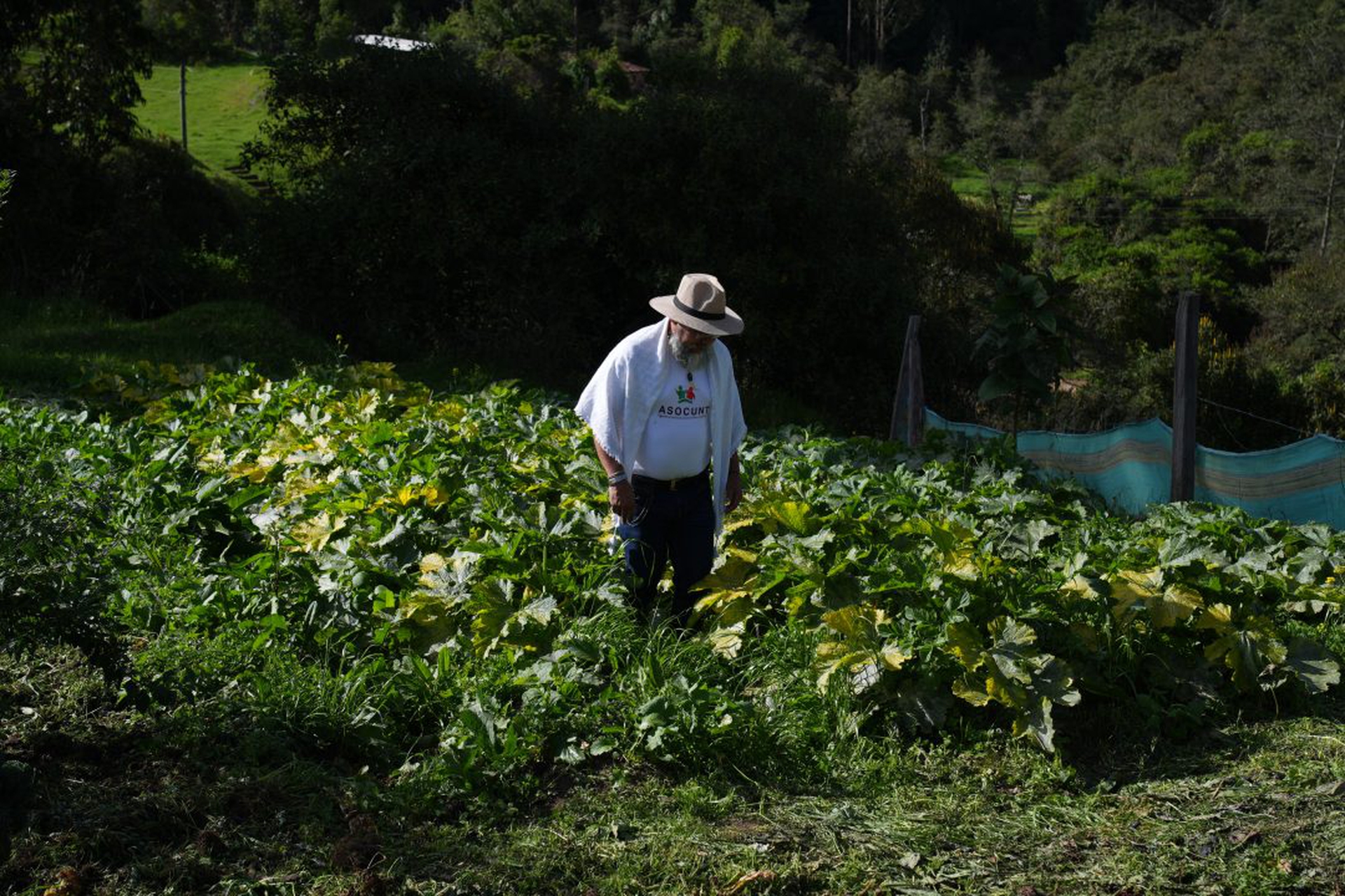 Former FARC combatants foster peace amid ongoing challenges
