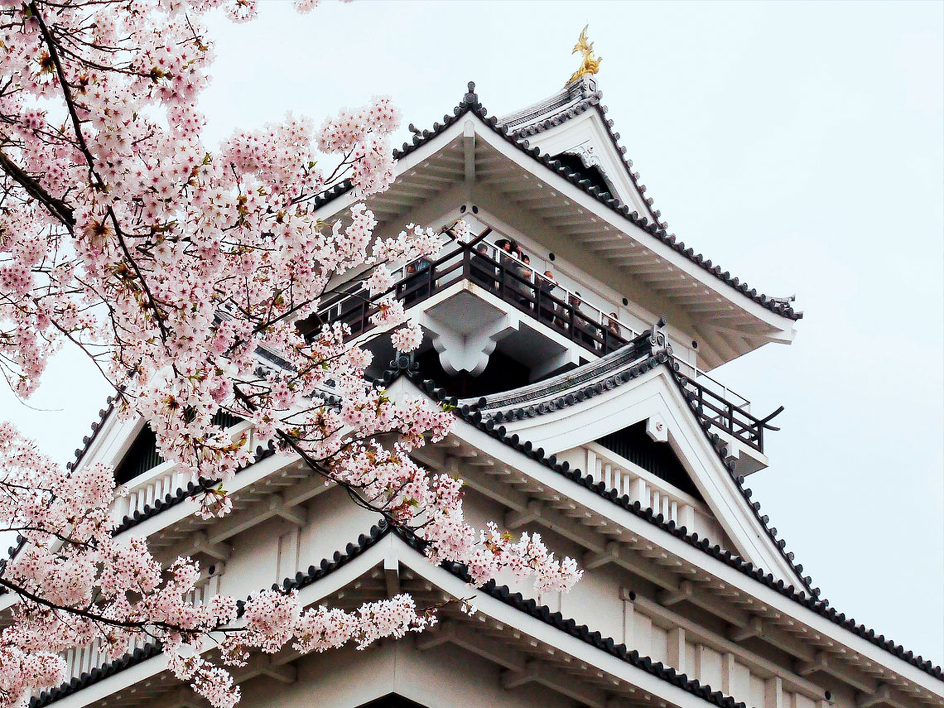 yamagata