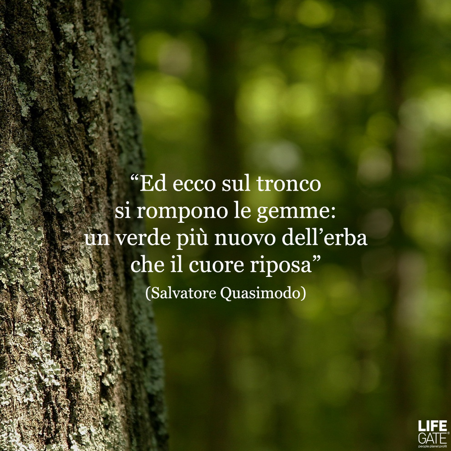 Una giornata tutta di poesia