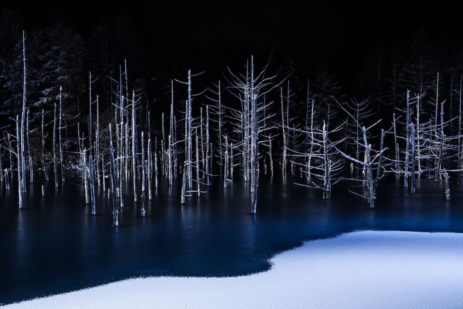 Le foto vincenti dei Sony world photography awards 2017