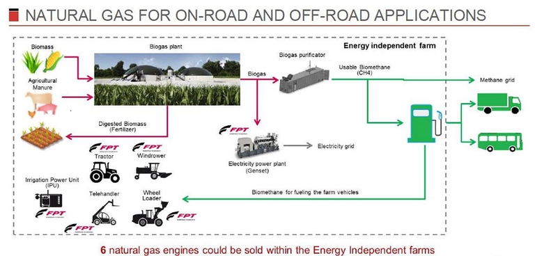 Il ciclo di produzione del biogas
