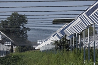 Che cos’è l’agrivoltaico, i suoi vantaggi e i suoi svantaggi