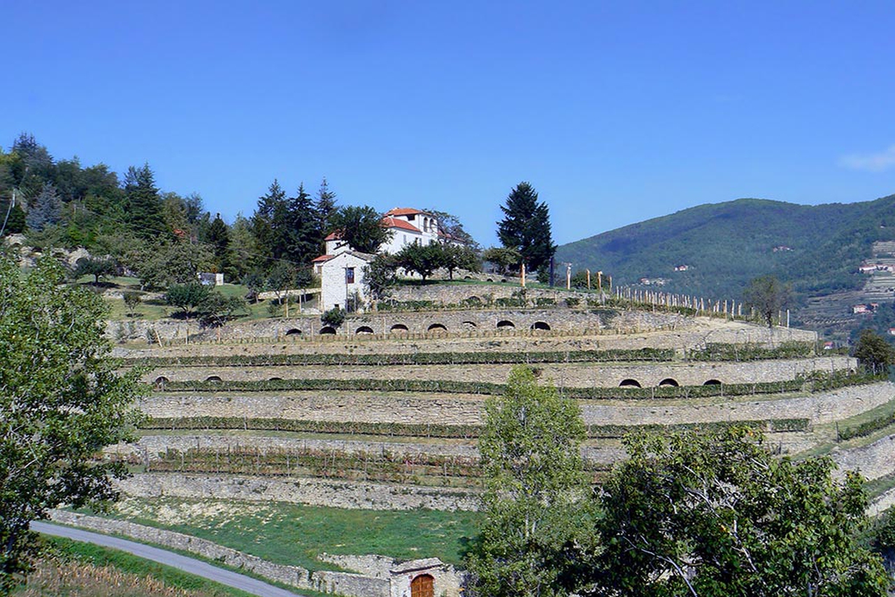 Itinerario. I 10 Borghi Medievali Più “golosi” D’Italia - LifeGate