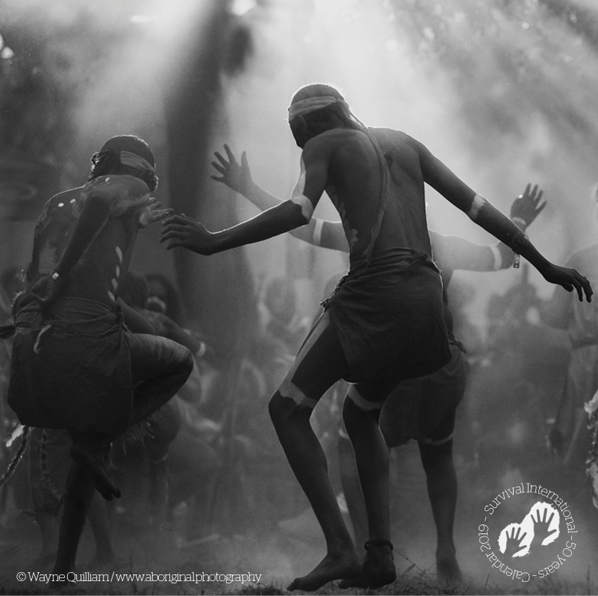 Survival International's 2019 calendar, Wayne Quilliam