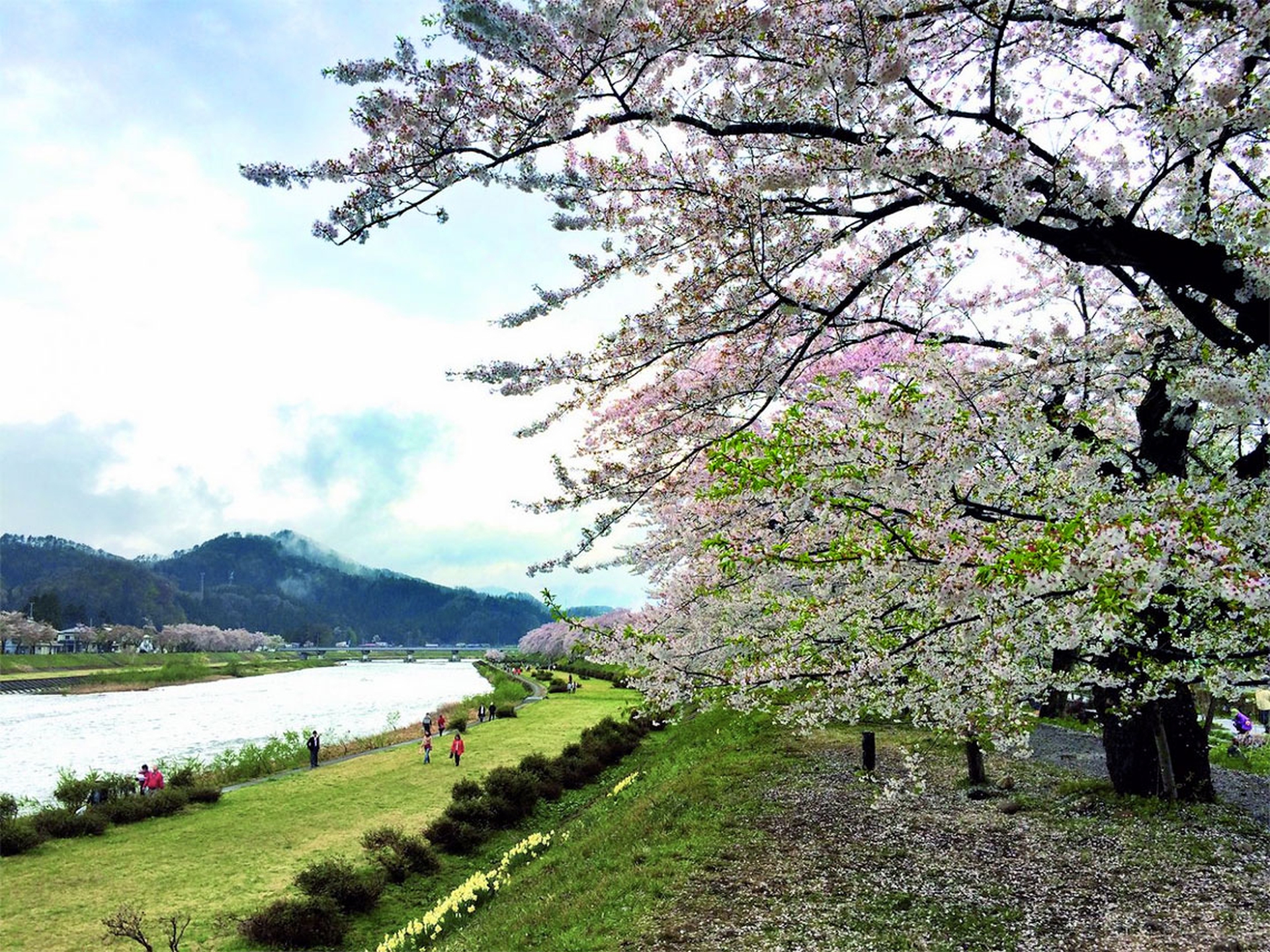 fiume-Hinokinai-a-Kakunodate.