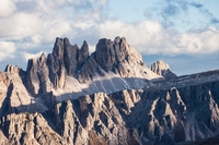 Parco nazionale delle Dolomiti Bellunesi, storia, flora e fauna