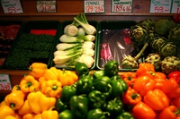 Vegetarianism, pros and cons