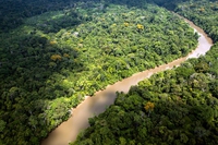 Sinodo per l’Amazzonia al via, il Vaticano cerca nuove strade per un’ecologia integrale