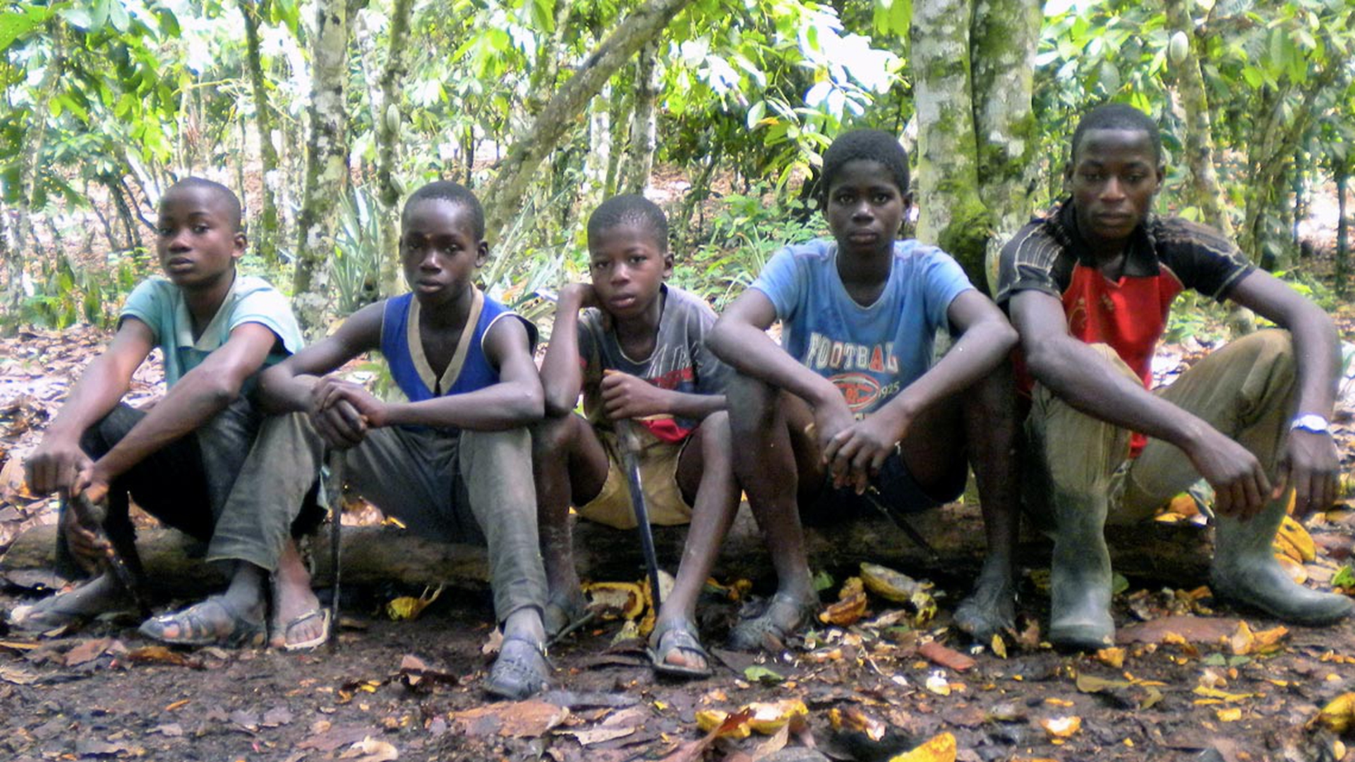 cocoa-kids-in-africa