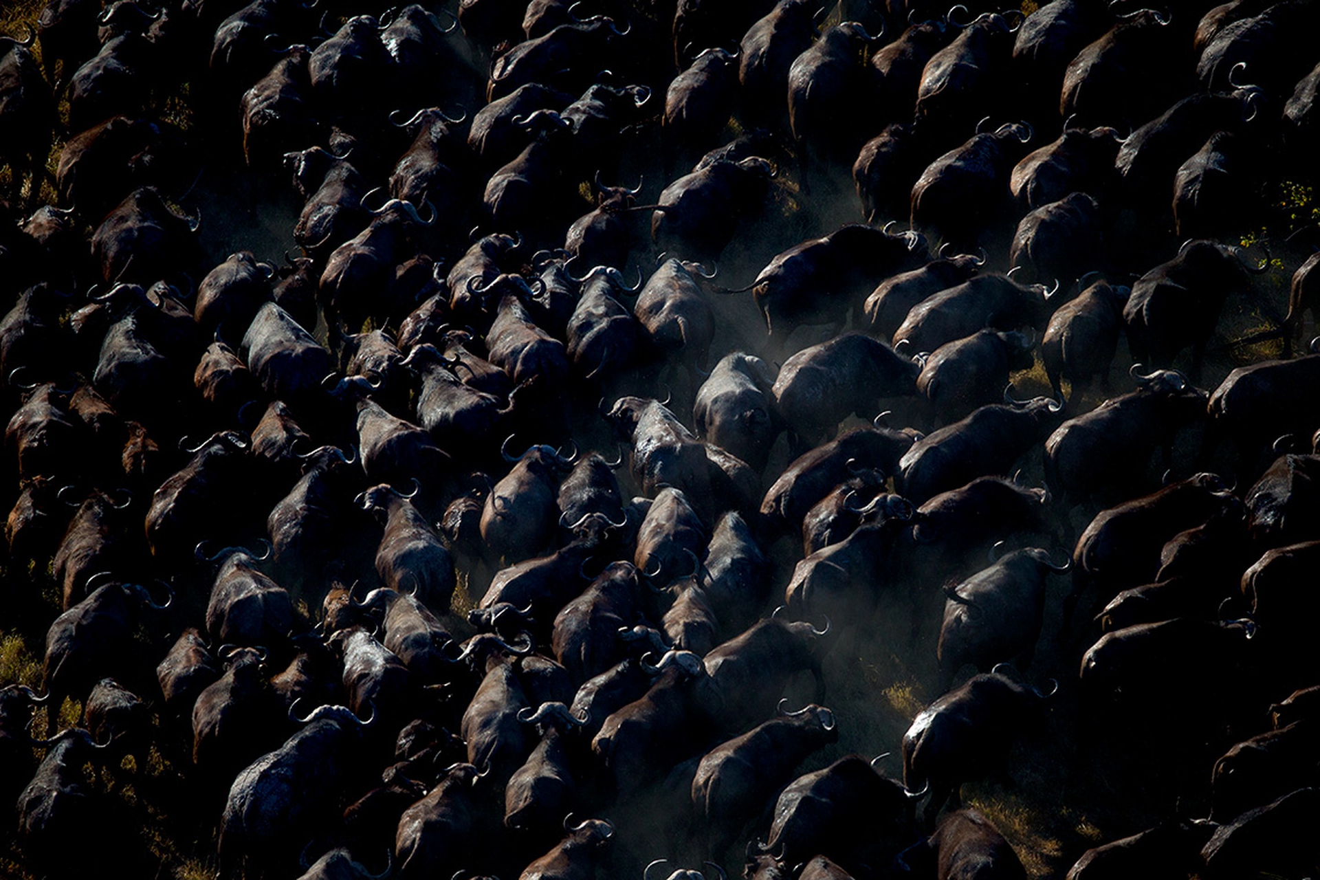 Terra, il nuovo documentario di Yann Arthus-Bertrand