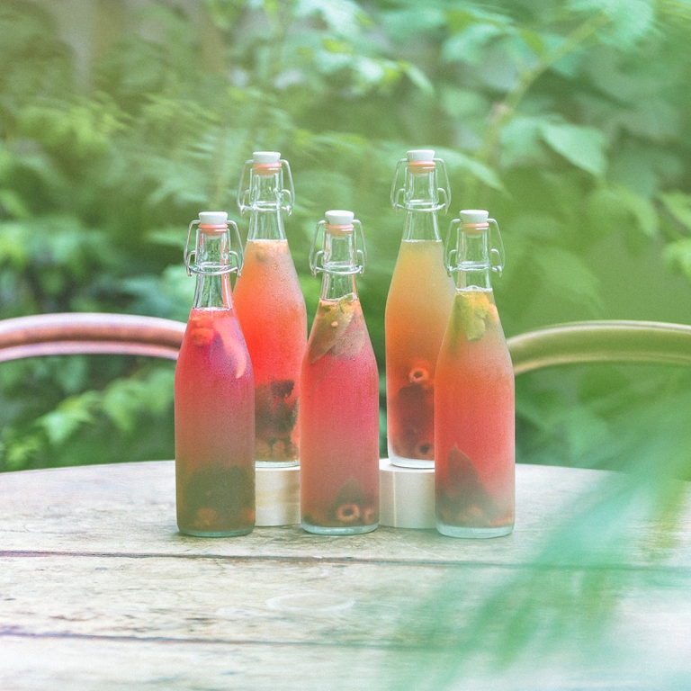 Netherlands Case Study - Little Plant Pantry