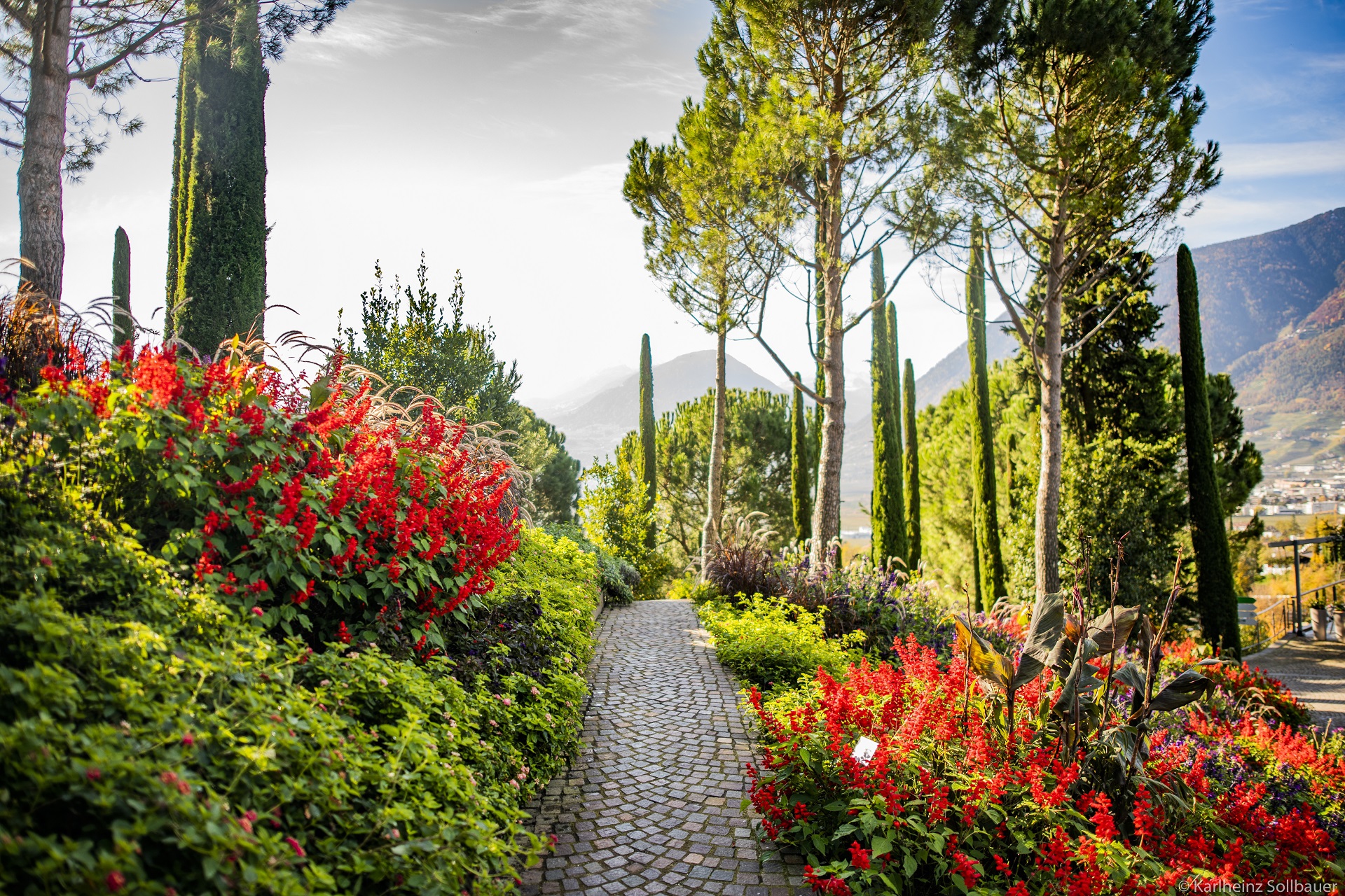Alto Adige Merano foliage