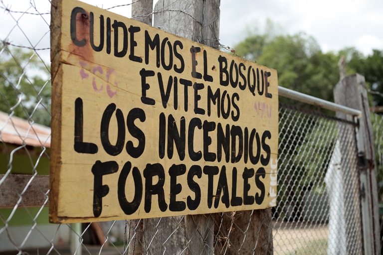 Cartello per proteggere il bosco