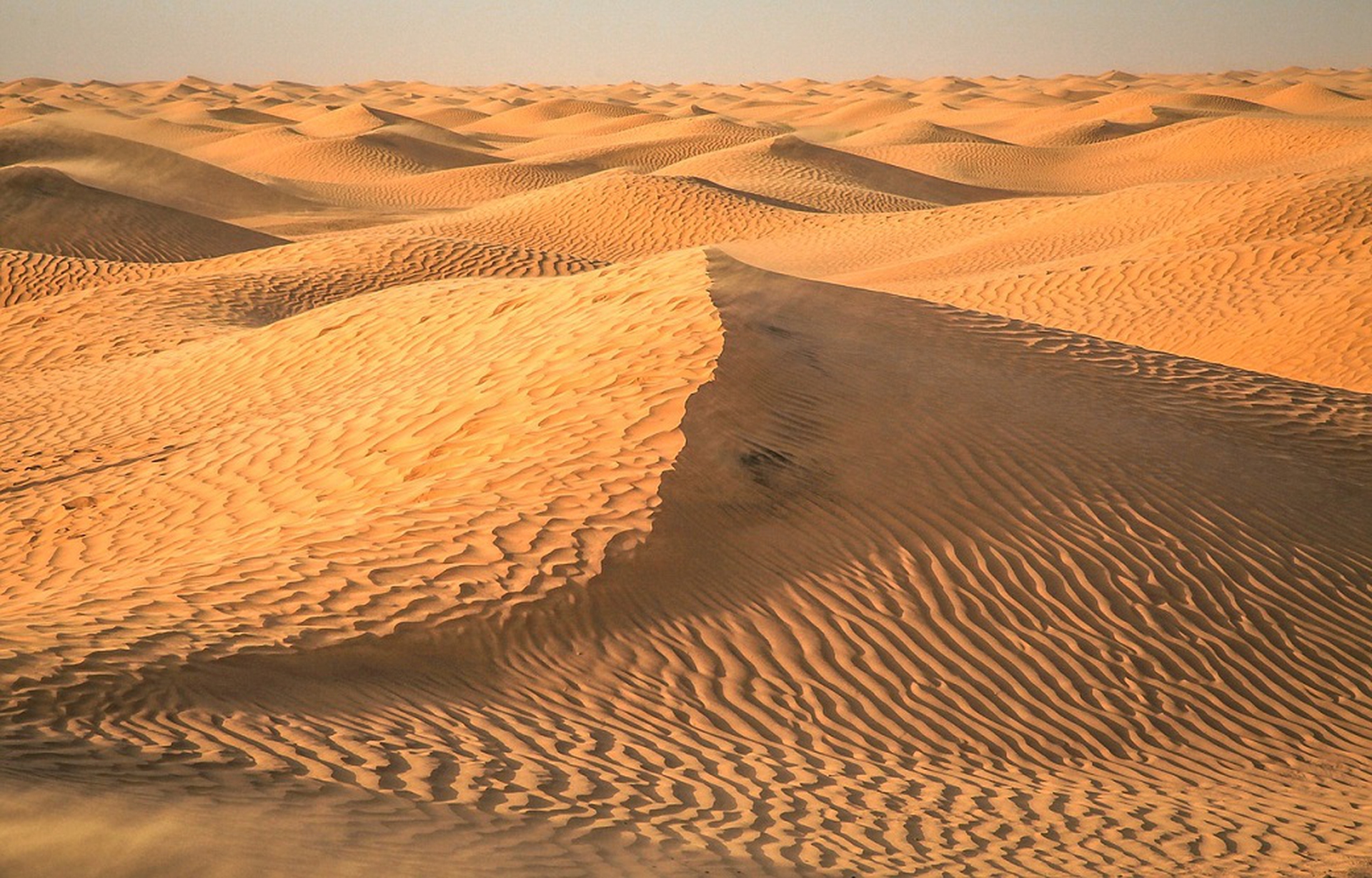 Le dune del deserto sono l'attrazione principale del trekking con Sharewood