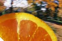 Arrivano i primi freddi: la giusta alimentazione