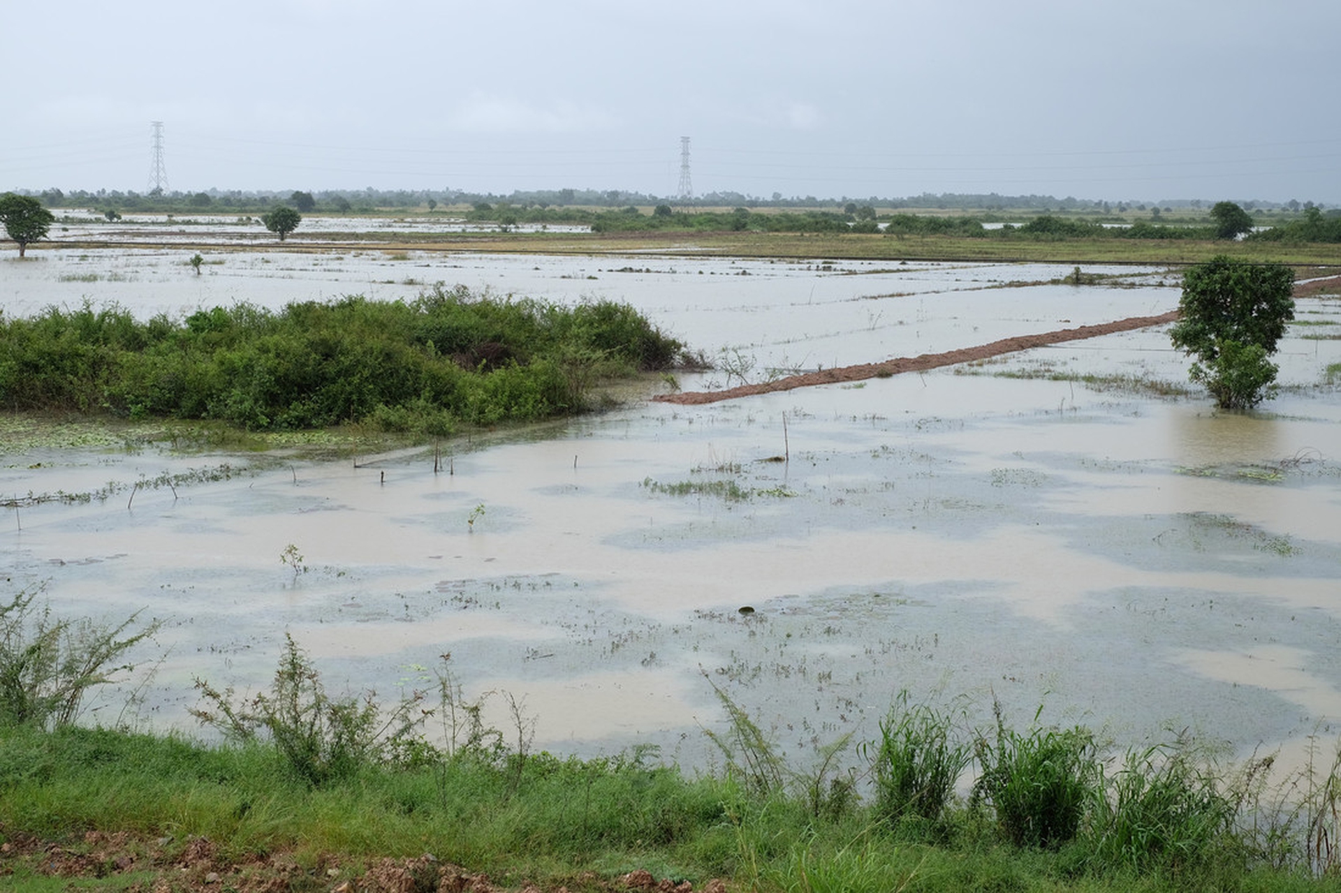 Le emissioni di CO2? Le producono i più ricchi